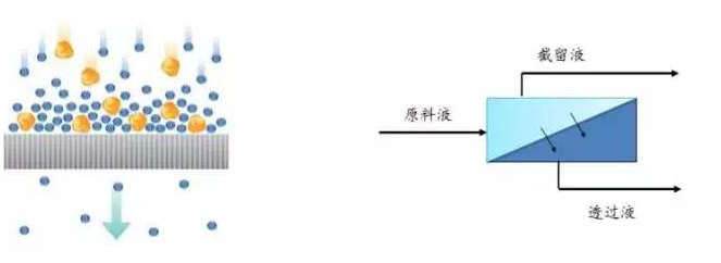 膜分离技术的最新发展报告