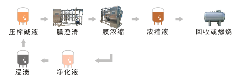 废碱液膜分离回收技术